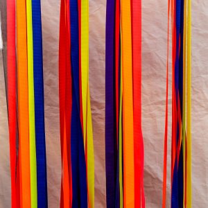 Polyester Adjustable Leads with Opening Handle