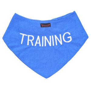 Training Bandana