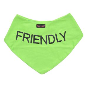 Friendly Bandana