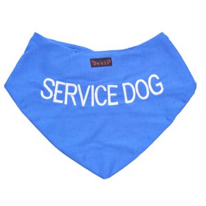 Service Bandana