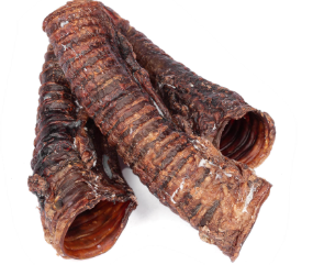Beef Trachea