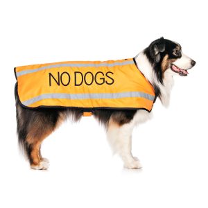 No Dogs Coats