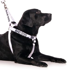 Blind Dog Strap Harness