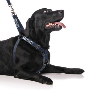Security Strap Harness