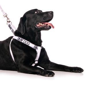 Deaf Dog Strap Harness