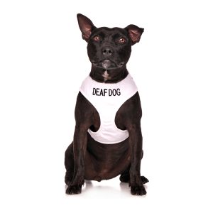 Deaf Dog Vests