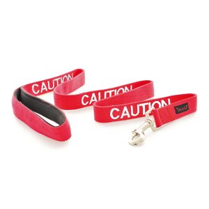 Caution Leads