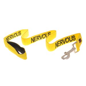 Nervous Leads