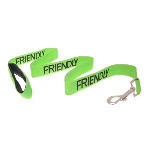 Friendly Leads