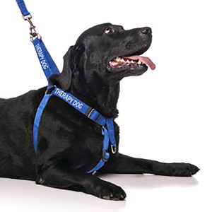 Therapy Dog Strap Harness