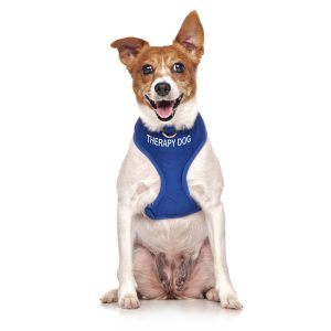 Therapy Dog Vests
